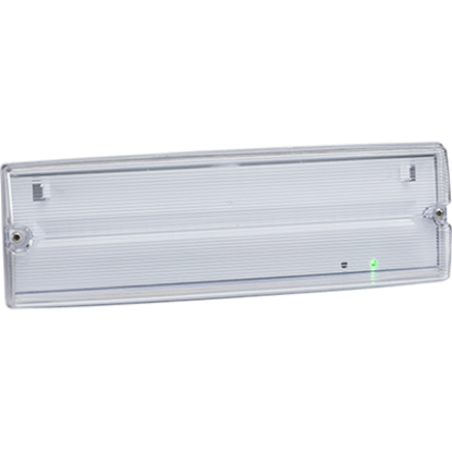 IP65 4W LED emergency bulkhead light with clear cover and green indicator for indoor or outdoor use