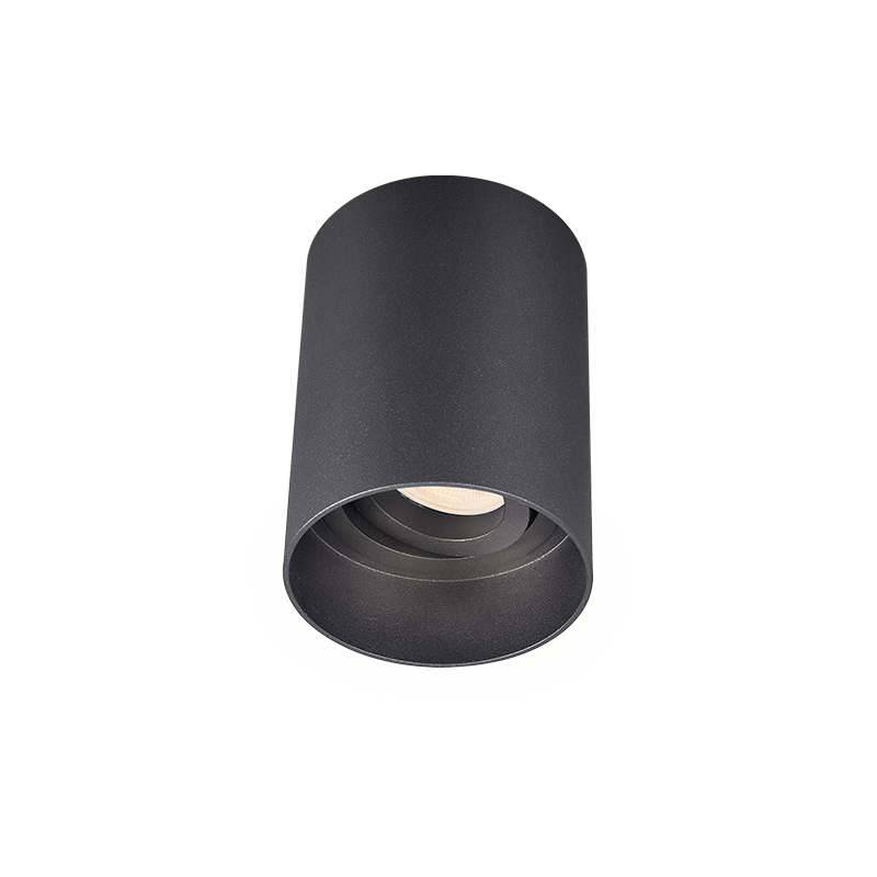 SM2™ Surface Mount Downlight Black
