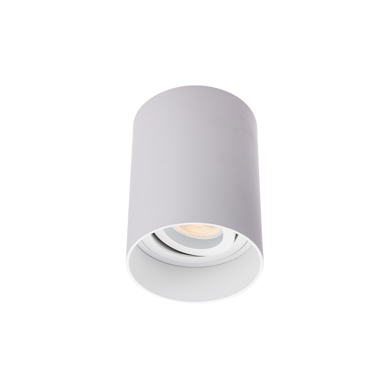 SM2™ Surface Mount Downlight White