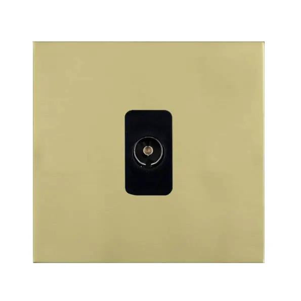 Shr G2 PB 1g Isolated TV 1in/1out BL