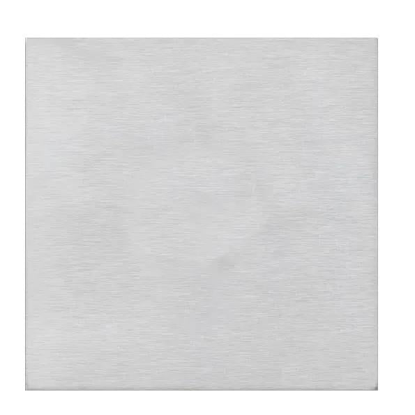 Shr G2 SS Single Blank Plate