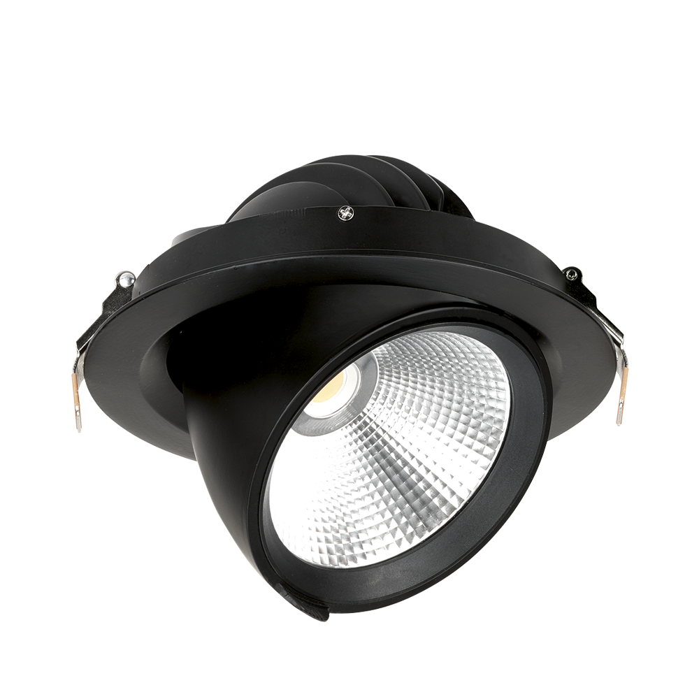 230V 30W LED 45deg Adjustable Wallwasher DALI Black 4000K