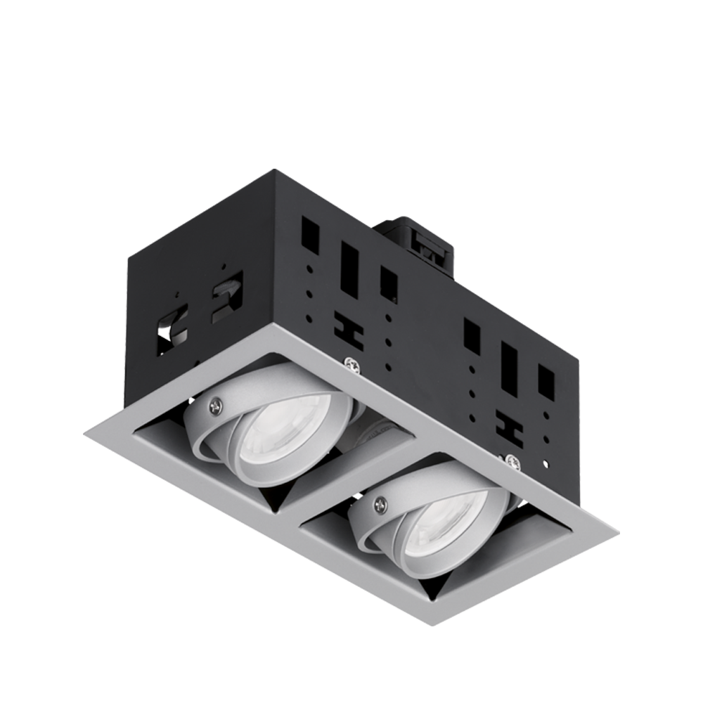 Aurora Adjustable EDLM™ Twin Multiple Downlight - Satin Silver