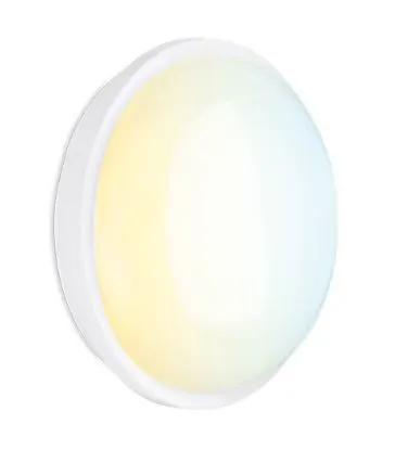 Round white LED bulkhead ceiling or wall light with frosted diffuser, modern lighting
