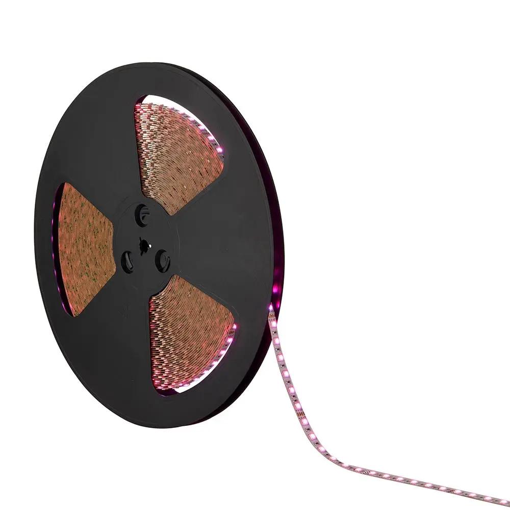 LED strip light reel with pink glowing LEDs for indoor electrical lighting
