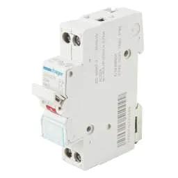 Electrical Lighting Hager 25A DP Switch Disconnector - Modular Devices Electrical Lighting Hager 25A DP Switch Disconnector Modular Devices
