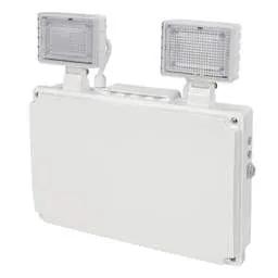 EMERGECNY LIGHTING Ecolink 9W LED Manual / Self Test Emergency Twinspot Fitting IP65 - EMERGECNY LIGHTING Ecolink 9W LED Manual / Self Test Emergency Twinspot Fitting IP65