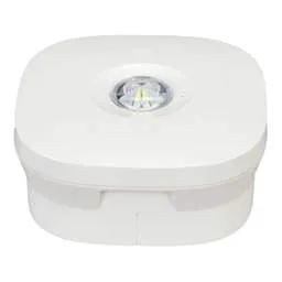 EMERGECNY LIGHTING Tamlite 2W LED Surface Mounted Emergency Downlight - EMERGECNY LIGHTING Tamlite 2W LED Surface Mounted Emergency Downlight