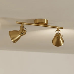 Seras downlight, brushed brass-gold, 2-bulb