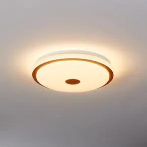 Lanciano 1 LED ceiling lamp with remote control Ø38cm