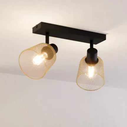 EGLO Coslada downlight, two-bulb