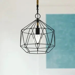 Cottingham hanging light, cage, 1-bulb