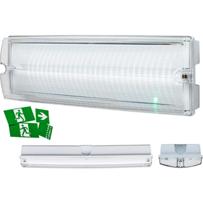 230V IP65 4W LED emergency bulkhead light with clear cover and emergency exit signs