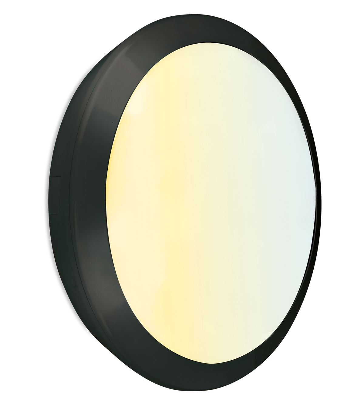 Aurora IP66 OrbitalCWS™ 15W/22W/28W Upto 2800lm 3000K/4000K/6500K Bulkhead - Black