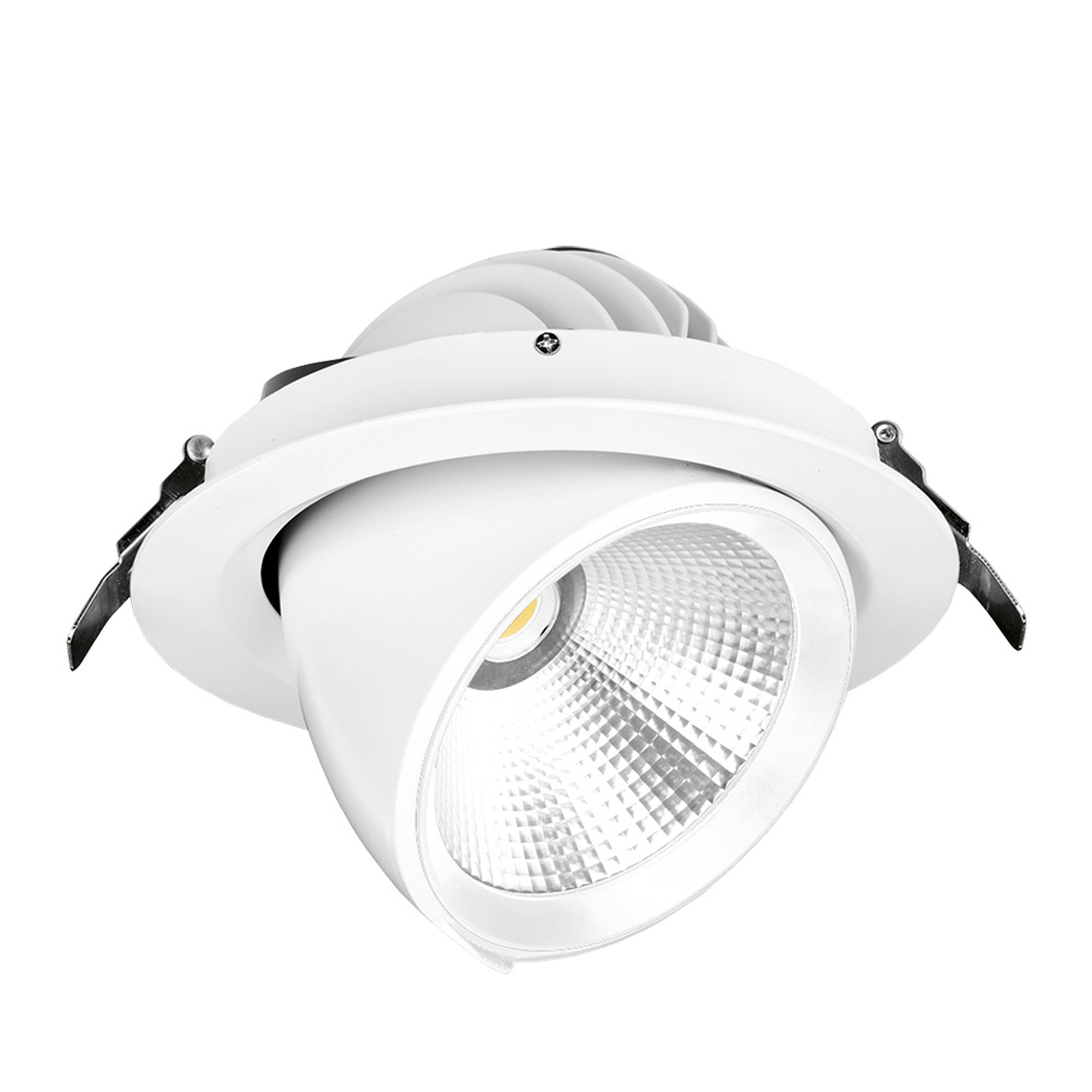 230V 30W LED 24deg Adjustable Wallwasher DALI White 4000K
