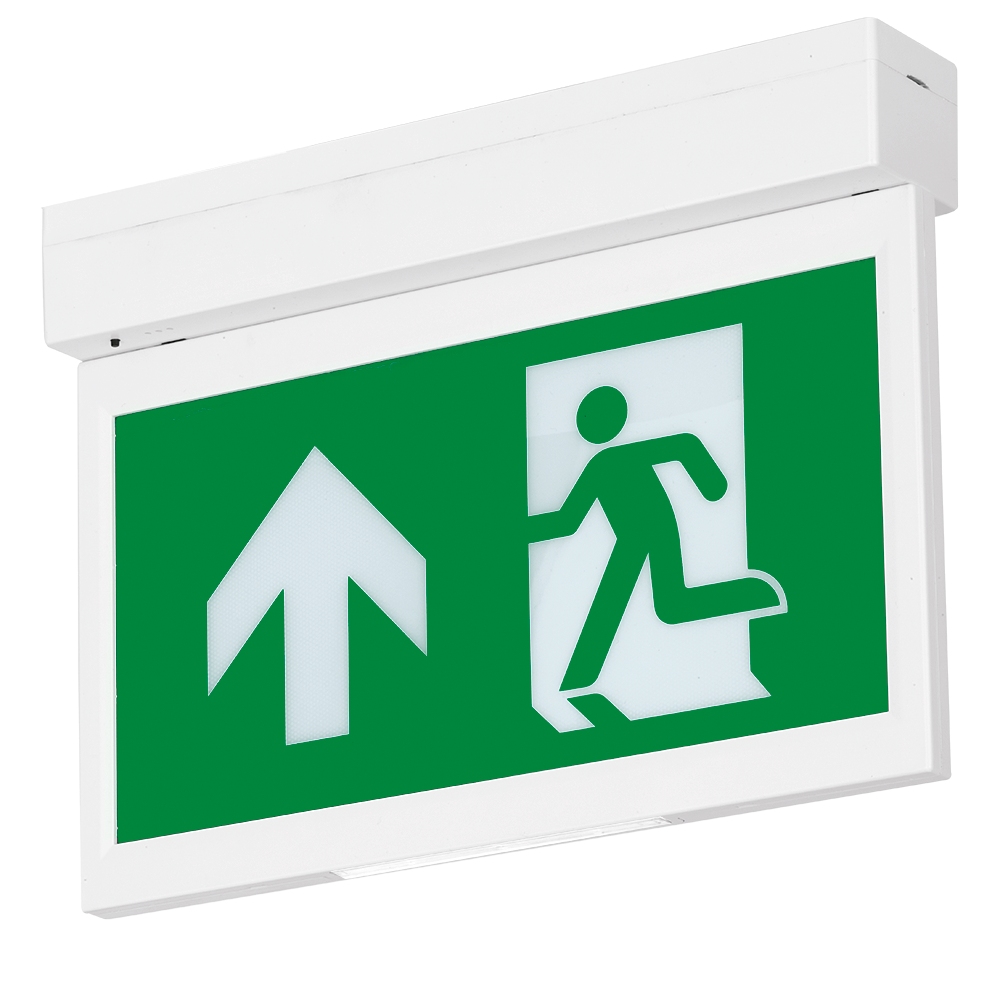 Aurora Emergency Exit Blade Recess Kit
