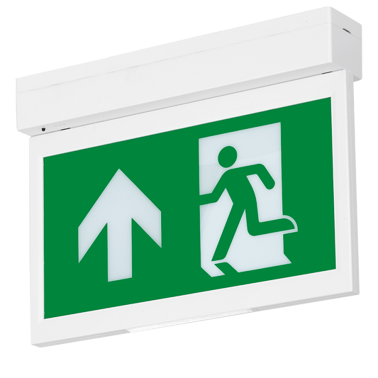 Aurora Emergency Exit Blade Recess Kit