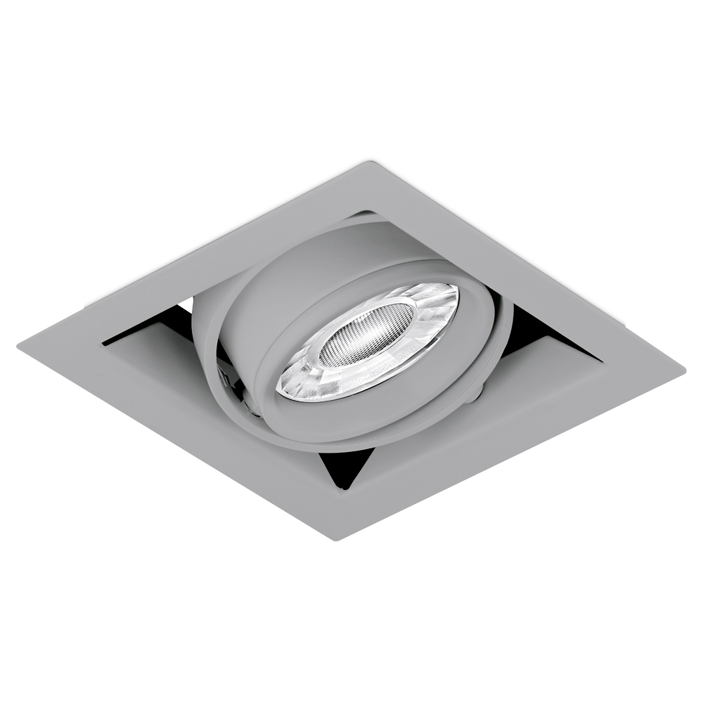 Aurora Adjustable EDLM™ Single Multiple Downlight - Satin Silver