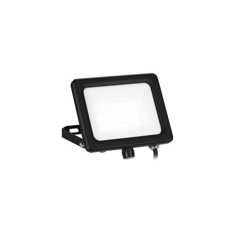 Vela 10W Adjustable IP65 Colour Switchable Floodlight
