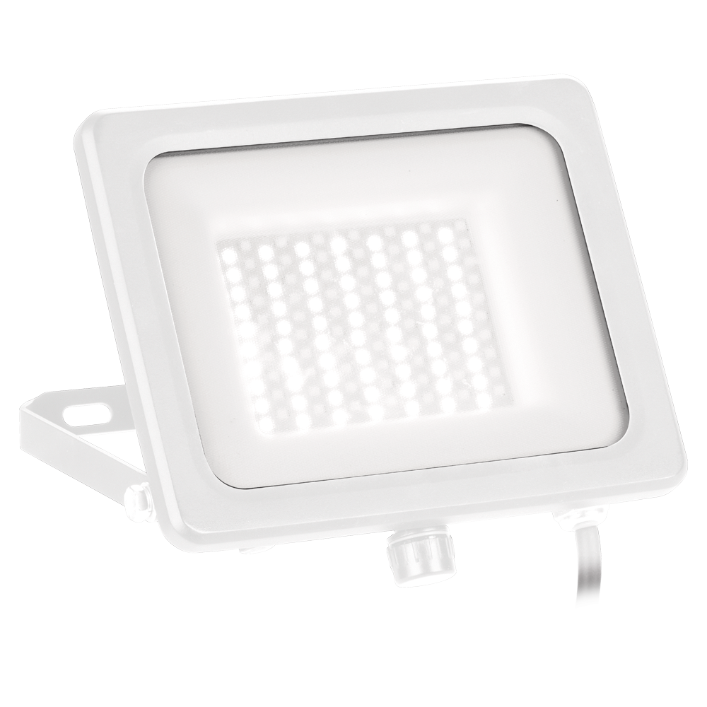 Vela 20W Adjustable IP65 Colour Switchable White Floodlight