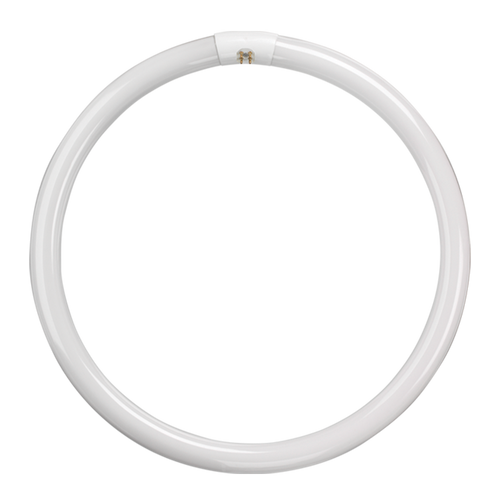 t9 tube Fluorescent T9 Circular Triphosphor 22W 4000K G10q 4 Pin - t9 tube Fluorescent T9 Circular Triphosphor 22W 4000K G10q 4 Pin