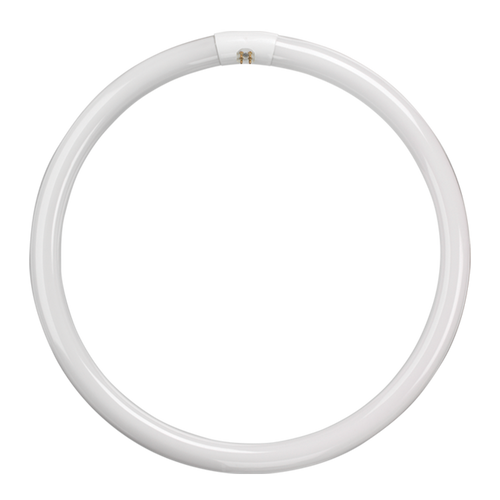 t9 tube Fluorescent T9 Circular Triphosphor 22W 4000K G10q 4 Pin - t9 tube Fluorescent T9 Circular Triphosphor 22W 4000K G10q 4 Pin