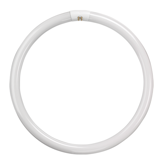 t9 tube Fluorescent T9 Circular Triphosphor 22W 3000K G10q 4 Pin - t9 tube Fluorescent T9 Circular Triphosphor 22W 3000K G10q 4 Pin