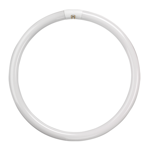 t9 tube Fluorescent T9 Circular Triphosphor 22W 3000K G10q 4 Pin - t9 tube Fluorescent T9 Circular Triphosphor 22W 3000K G10q 4 Pin