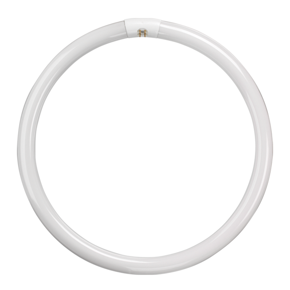 t9 tube Fluorescent T9 Circular Triphosphor 32W 3000K G10q 4 Pin - t9 tube Fluorescent T9 Circular Triphosphor 32W 3000K G10q 4 Pin