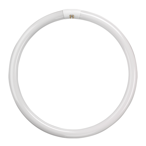 t9 tube Fluorescent T9 Circular Triphosphor 60W 4000K G10q 4 Pin - t9 tube Fluorescent T9 Circular Triphosphor 60W 4000K G10q 4 Pin