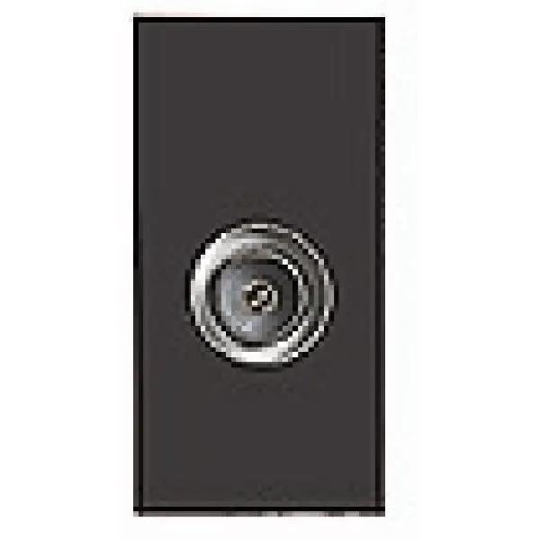 E/Fix Non-Isolated TV (Male) 25x50 BL
