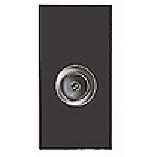 E/Fix Non-Isolated TV (Male) 25x50 BL