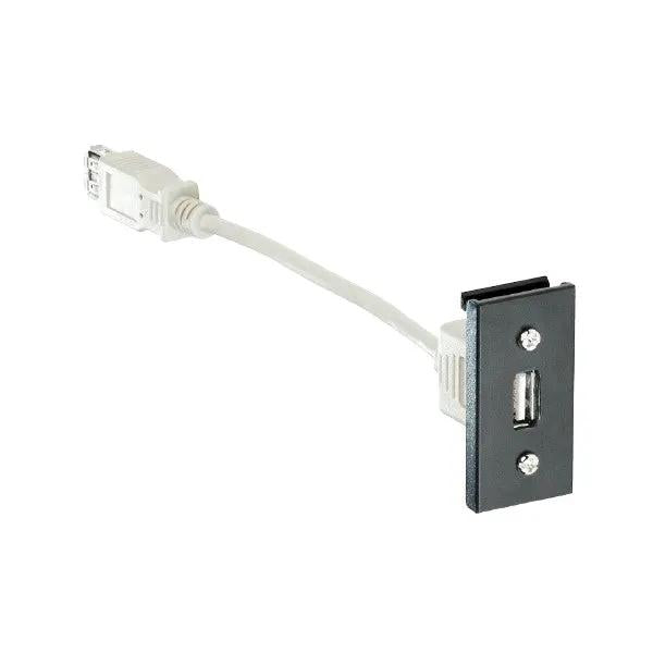 E/Fix USB2 Type A Skt Fem-Fem 25x50 BL
