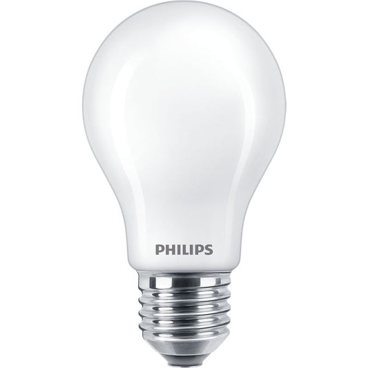 Frosted LED light bulb A67 E27 100W 2700K for home and business lighting solutions