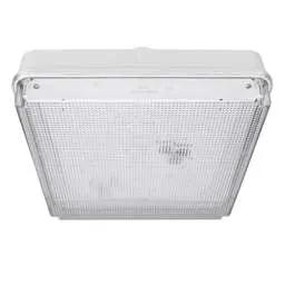 EMERGECNY LIGHTING Tamlite Nimrod A Nima 15W LED Square Emergency Bulkhead White 4000K - EMERGECNY LIGHTING Tamlite Nimrod A Nima 15W LED Square Emergency Bulkhead White 4000K