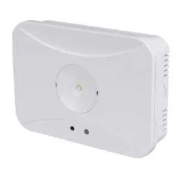 EMERGECNY LIGHTING 1W LED Surface Mounted Emergency Downlight with Self Test - EMERGECNY LIGHTING 1W LED Surface Mounted Emergency Downlight with Self Test